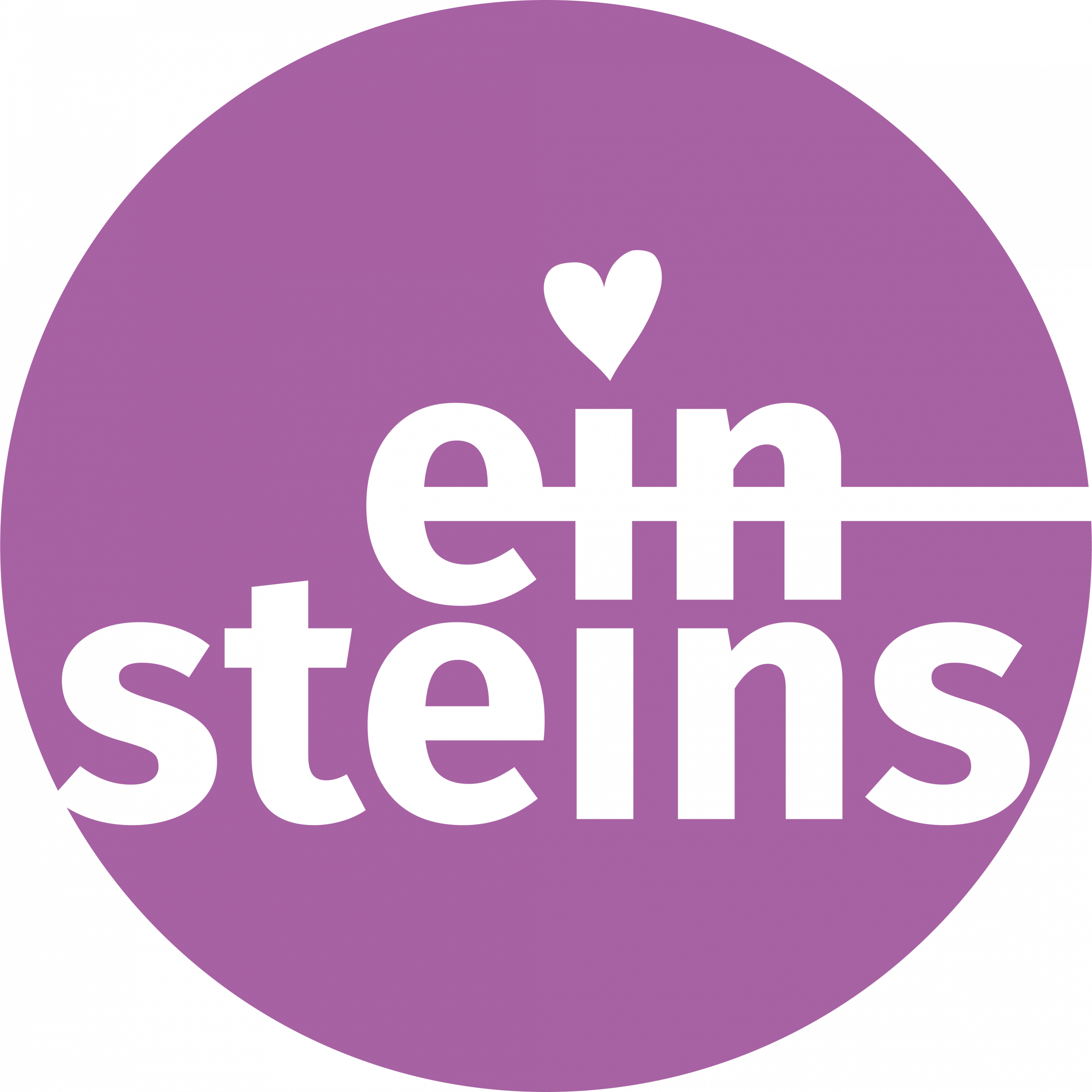 Einsteins 2025